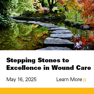 2025 Stepping Stones to Excellence in Wound Care Banner